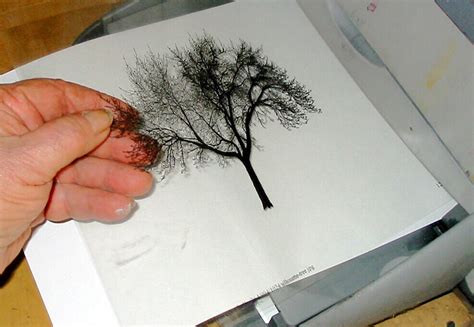 Can You Print on Transparent Paper? Exploring the Possibilities and Beyond