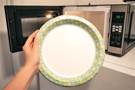 Can You Put a Paper Plate in the Microwave, and What Happens If You Microwave a Thought?