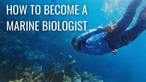 What are the education requirements for a marine biologist, and how do jellyfish fit into the equation?