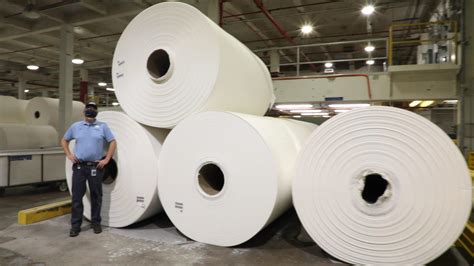 Where is Toilet Paper Made: A Journey Through the Rolls of Industry and Imagination